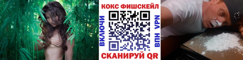 закладки  дарк нет Telegram  Кокаин Перу  Салехард 