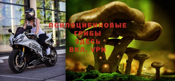 гидропоника Зерноград