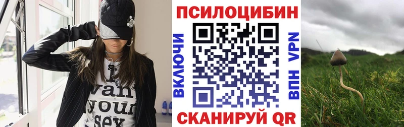 Галлюциногенные грибы Cubensis  Салехард 